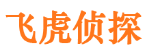 杜集市侦探公司